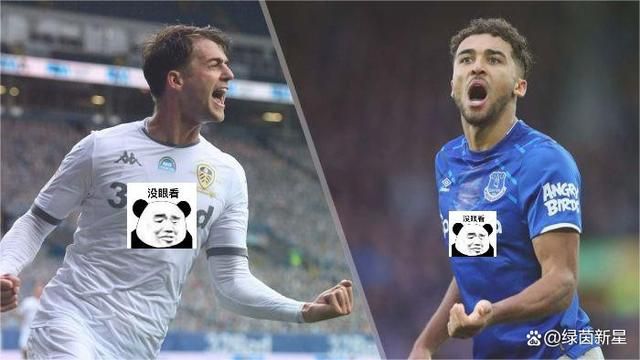 久久久国产精品va麻豆
