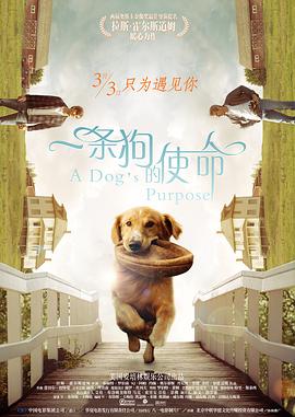 国产精品爱啪在线线免费观看