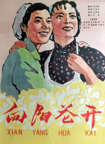 h在线视频免费观看完整版